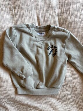 Old Navy Toddler Sage Crewneck Sweatshirt - 'Force of Nature' Graphic